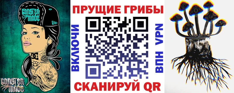 купить  цена  Горняк  Псилоцибиновые грибы Psilocybe 